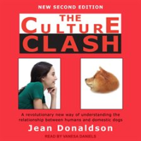 The_Culture_Clash